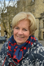 Her Majesty’s Lord Lieutenant of Somerset